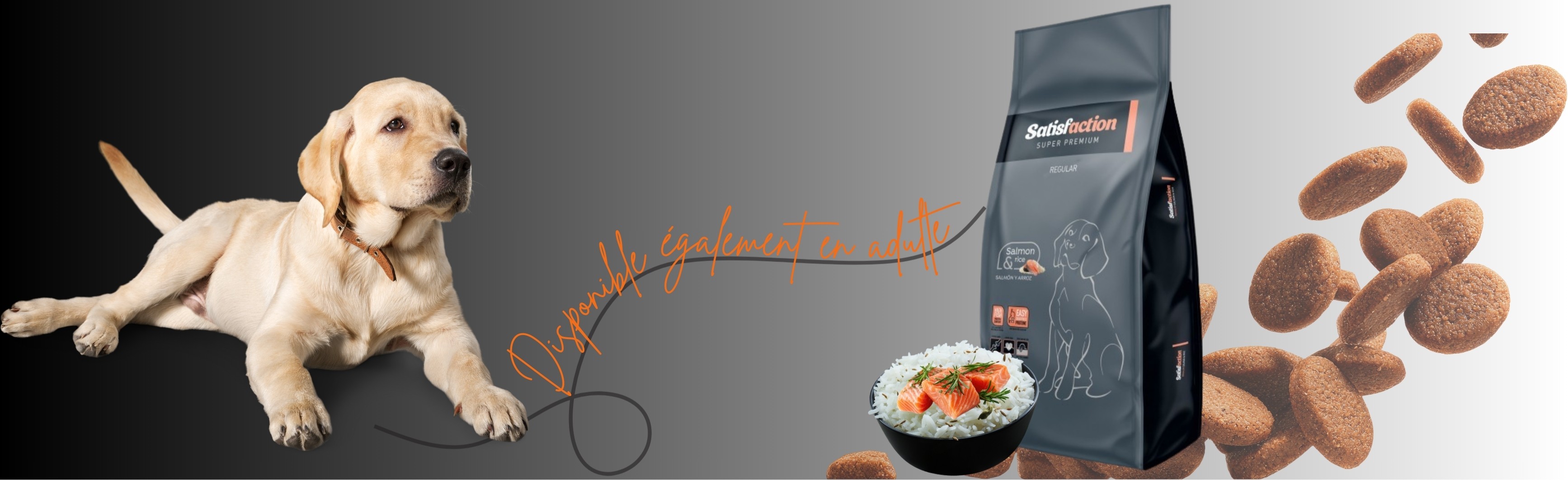 Croquettes super premium au saumon et riz pour chiens adultes. Hypoallergéniques, digestes, idéales pour la peau, le pelage, les articulations et le cœur.